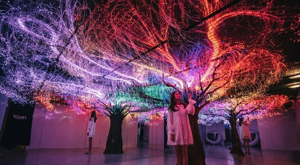 济南粑粑王国奇幻空间(聚隆广场店)