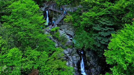 龙津溪地第 3 张图片