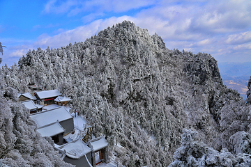 秦岭天竺山生态文化旅游景区第 37 张图片