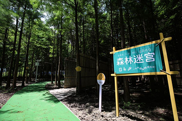 杉水童年上海儿童友好(松江)实践基地第 11 张图片