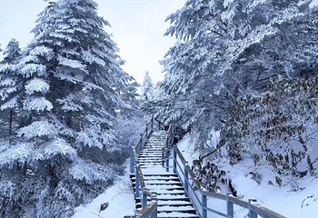 轿子雪山第 25 张图片