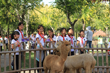 鑫诚田园生态旅游区第 34 张图片