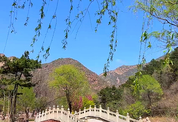 挂云山景区第 11 张图片