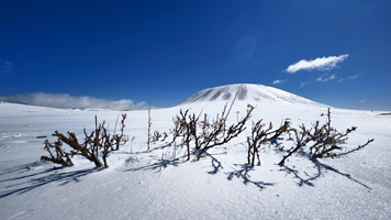 乌兰哈达火山地质公园