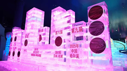 哈尔滨冰雪大世界第 627 张图片