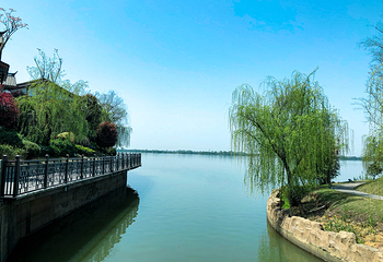 洋沙湖溪龙里第 9 张图片