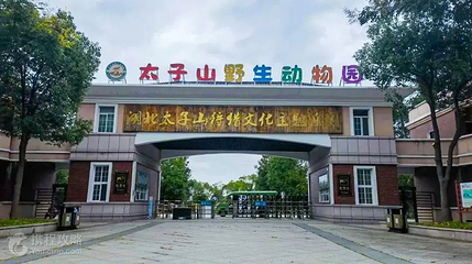 太子山野生动物园第 9 张图片