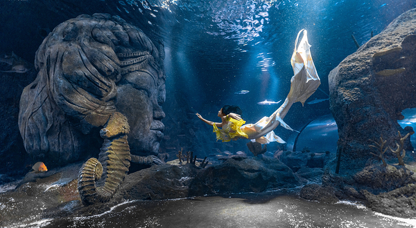 重庆海昌海洋馆