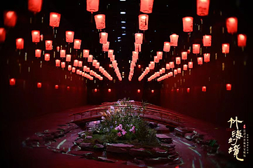 桃花江·竹海幻境第 10 张图片