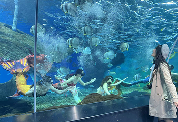 赣州极地海洋世界第 103 张图片