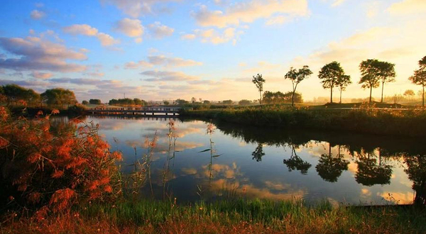 盐城射阳岛高尔夫球会