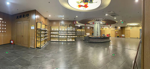 泰山皮影(泰安老街店)第 8 张图片