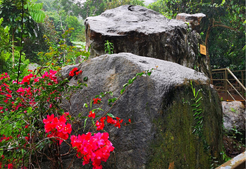 海南百花岭热带雨林文化旅游区第 81 张图片