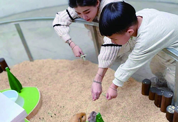 回巢 Homing 荒野沙漠农场园区第 21 张图片