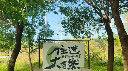 开心森林第 2 张图片