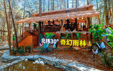 茅山森林世界第 62 张图片