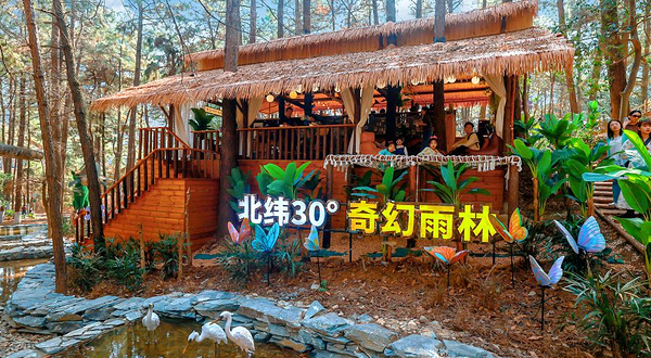 茅山森林世界