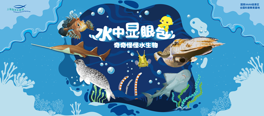 上海海洋水族馆第 118 张图片