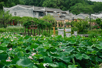 钓源古村第 82 张图片