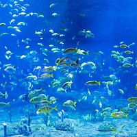 兰州极地海洋世界