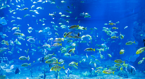 兰州极地海洋世界