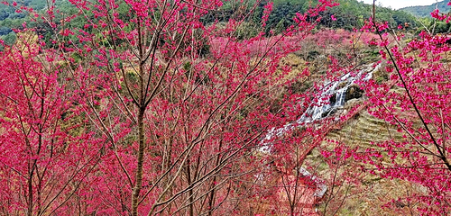 钱来山景区第 80 张图片