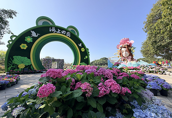 海上田园第 12 张图片