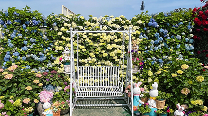音乐百花谷第 67 张图片