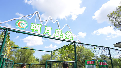 明月岛第 84 张图片