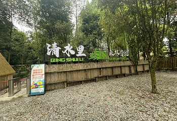清水里森林营地第 26 张图片