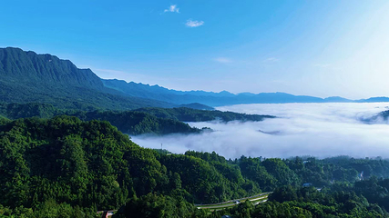 碧峰峡野生动物世界第 109 张图片