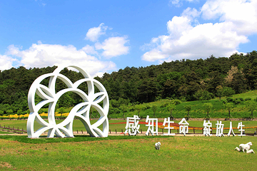 张学良文化园第 10 张图片