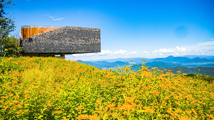 中旅松花湖度假区第 45 张图片