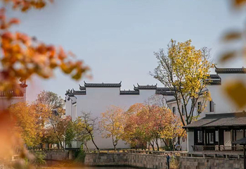 铜陵犁桥水镇景区第 1 张图片