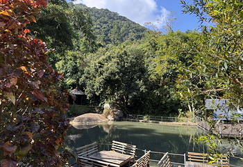 霸王岭第 38 张图片