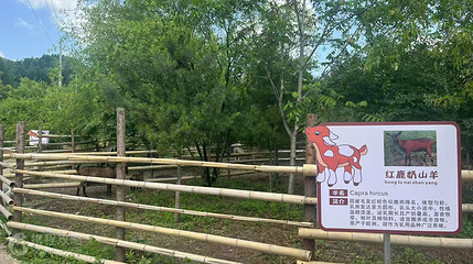 黑石木景区第 2 张图片