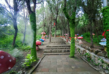 龟山景区(龟山望龙洞风景区)第 10 张图片