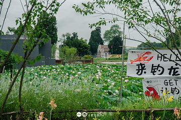 钓源古村第 62 张图片
