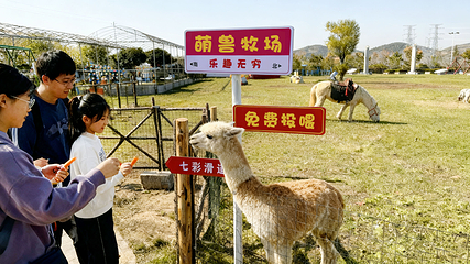 卧虎山田园旅游区第 13 张图片