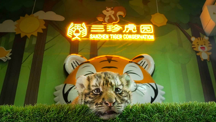 三珍虎园第 3 张图片