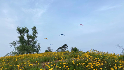 洛阳万安山滑翔伞飞行营地第 22 张图片