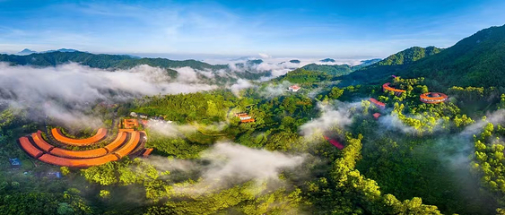 雁南飞茶田景区第 4 张图片