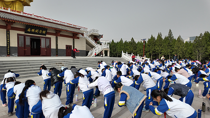 岜山中医药健康旅游示范基地第 43 张图片