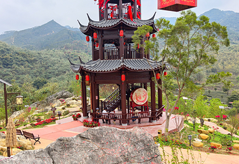 茶趣园第 7 张图片
