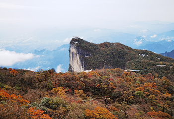 天门山国家森林公园第 135 张图片