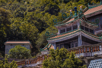 南海湾森林生态园第 49 张图片