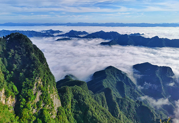 秦岭天竺山生态文化旅游景区第 47 张图片