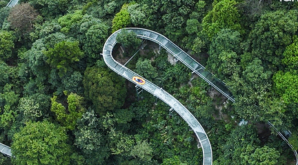 大华山蝶栖谷景区第 34 张图片