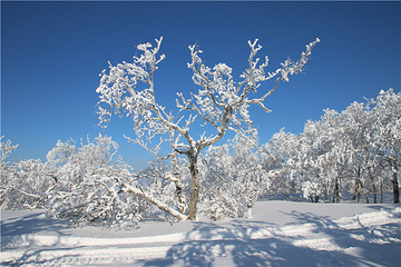 雪乡雪世界欢乐谷第 9 张图片