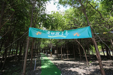 杉水童年上海儿童友好(松江)实践基地第 10 张图片